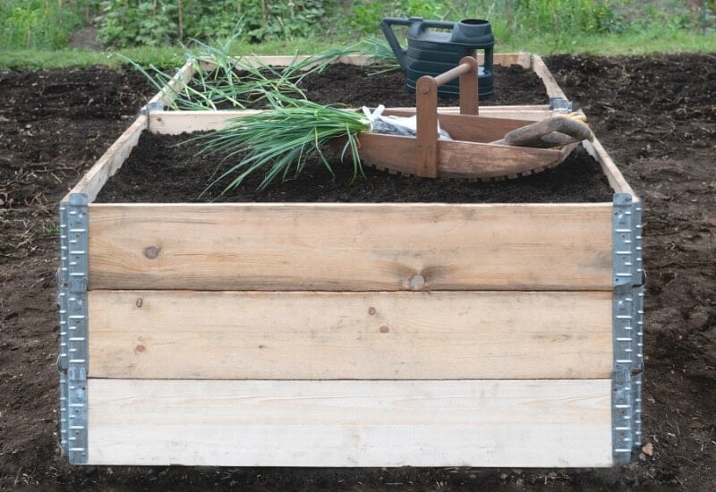 If you've yet to dive into using raised garden beds, this year is the time. This straightforward gardening method leads to improved garden soil quality and higher garden yields. Grow more vegetables than ever by using raised garden beds.