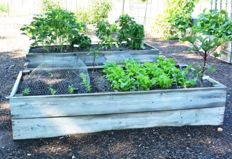 Raised Bed Gardening For Beginners & Planning, Building, Soil Mix, and Planting Guide