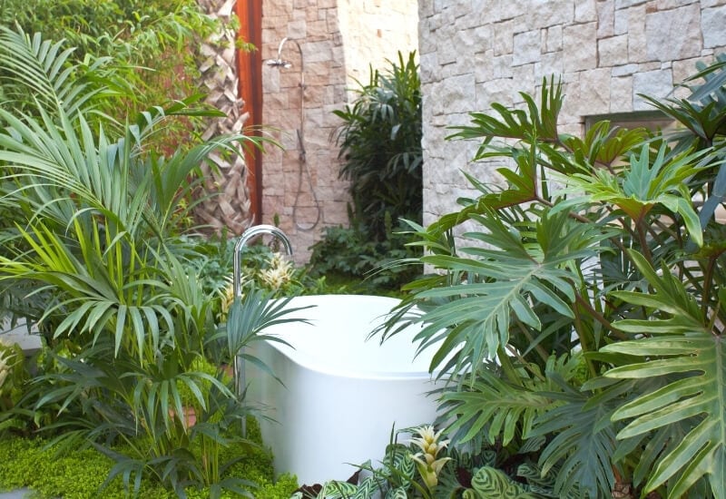 Turn Your Bathroom into a Garden