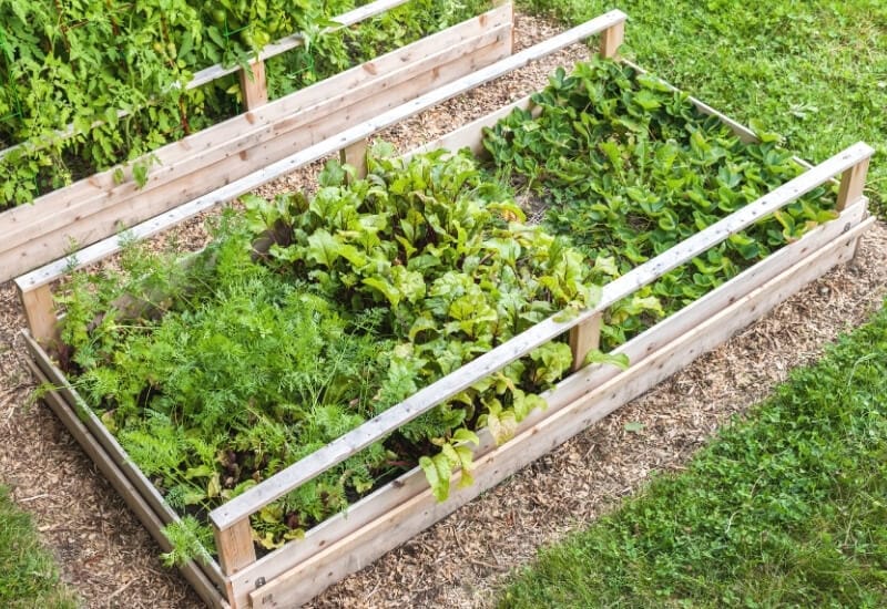 The Benefits of Raised Garden Beds 