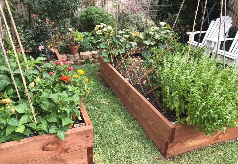 What is a Raised Garden Bed?