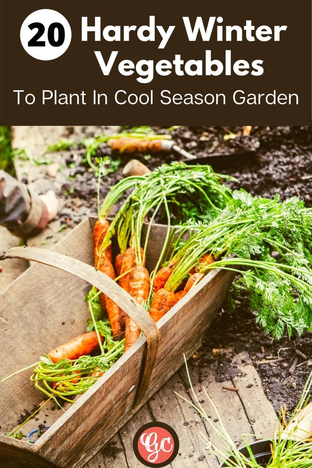 Winter Vegetables To Plant And Harvest In Cool Season Garden