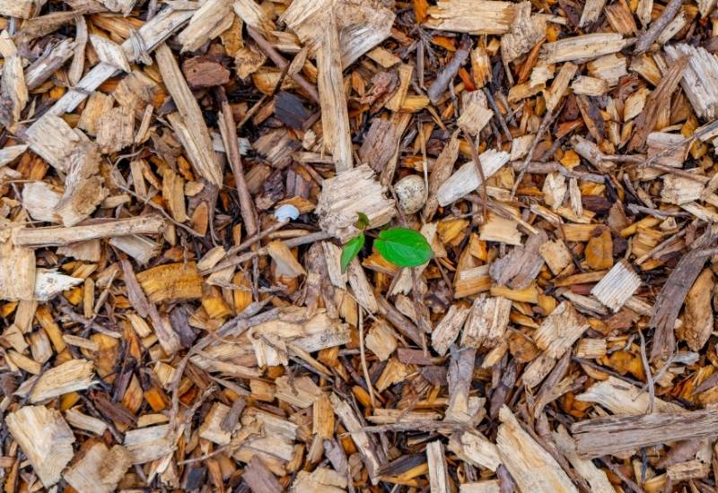 Wood Chipping Mulch