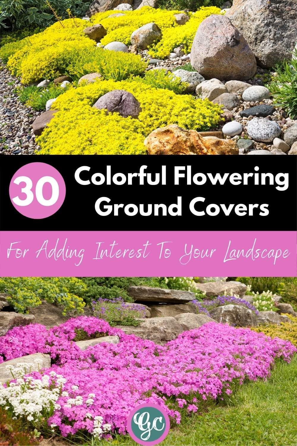 30 Flowering Ground Covers For Adding Color To Your Landscape