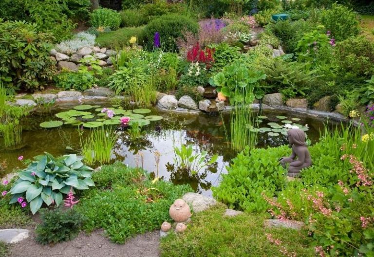 16 Aquatic Pond Plants To Add To Your Functional Water Garden
