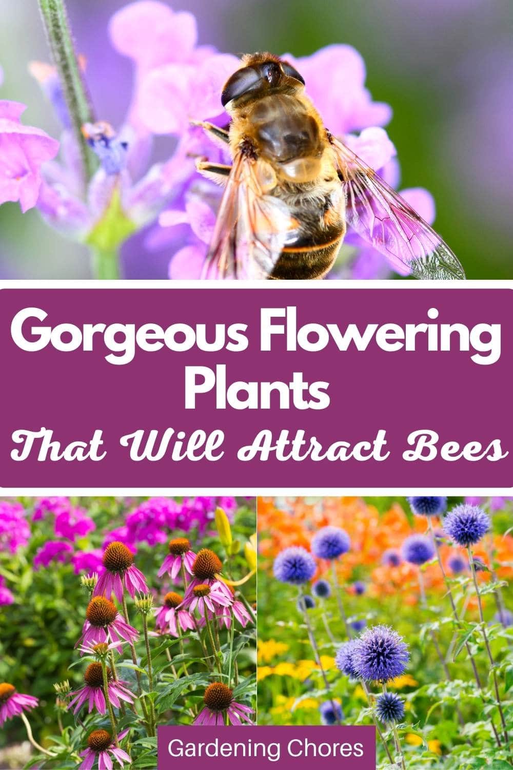 25 Flowering Plants For Attracting Beneficial Bees To Your Garden