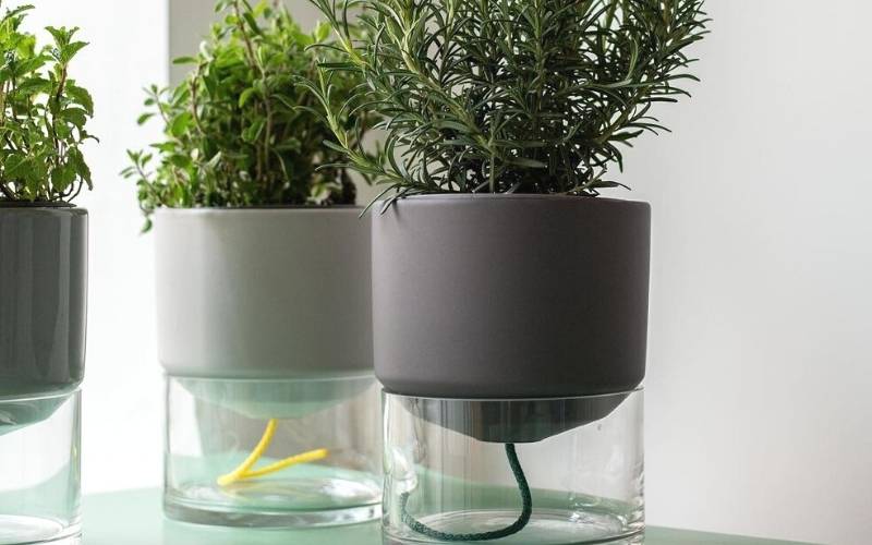 Self Watering Planters: How They Work, DIY Option And Tips For Use 3