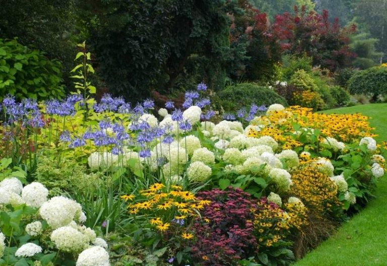 20 Colorful Deer-Resistant Perennials for Your Sun and Shade Spaces