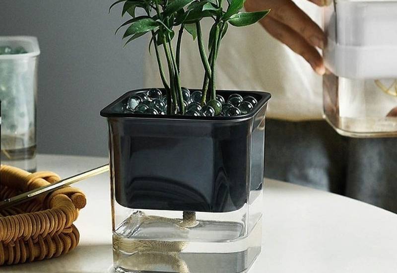 Self Watering Planters: How They Work, DIY Option And Tips For Use 4