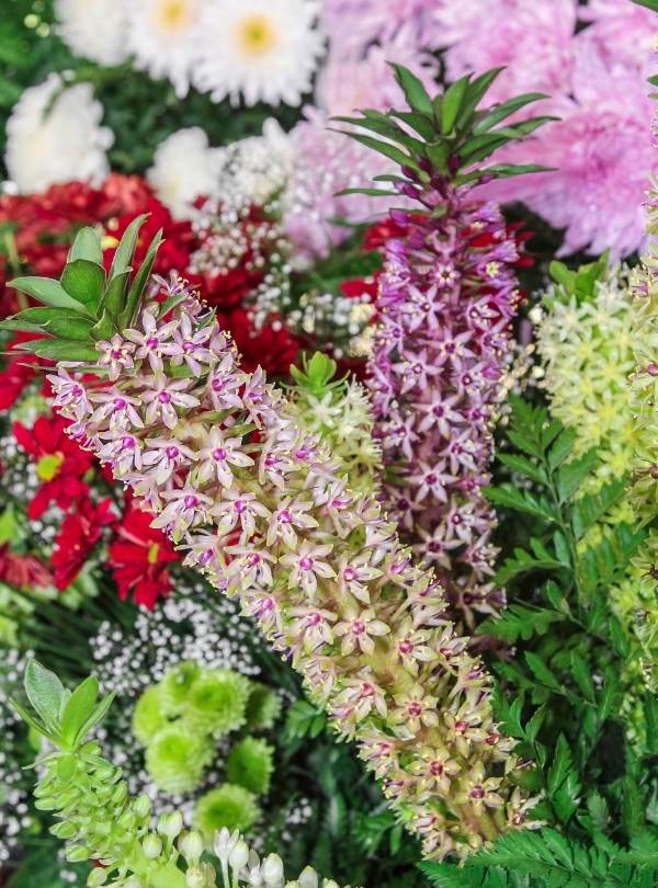 15 Heat-Tolerant Container Garden Plants That Will Thrive in Sunny Areas 4