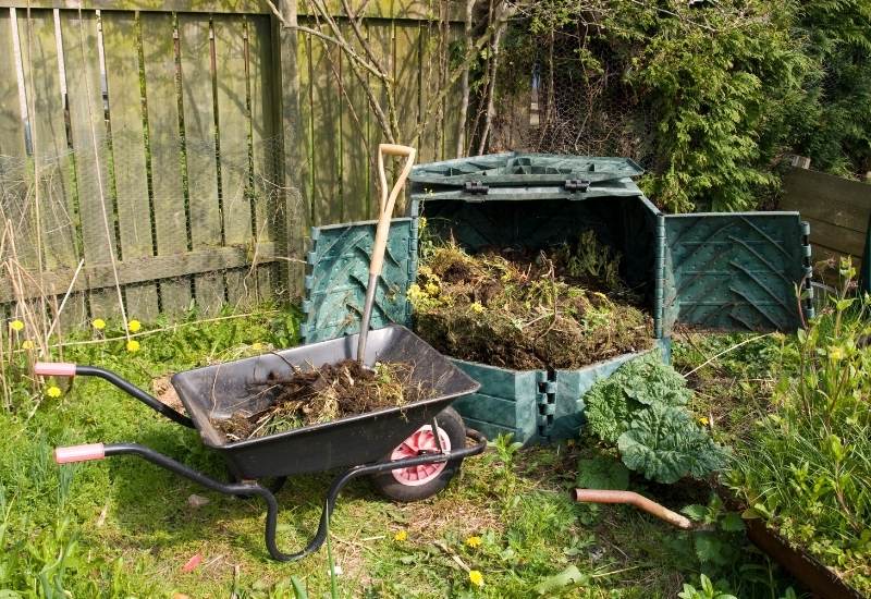 Using compost as mulch