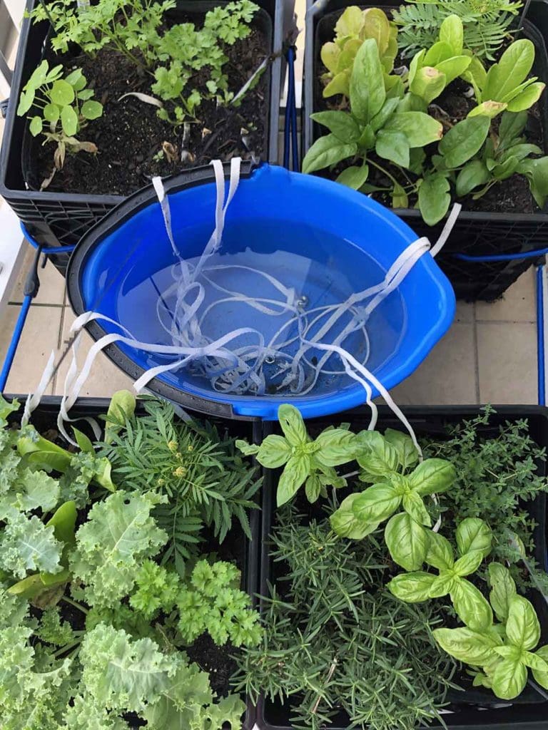 Self Watering Planters: How They Work, DIY Option And Tips For Use 2