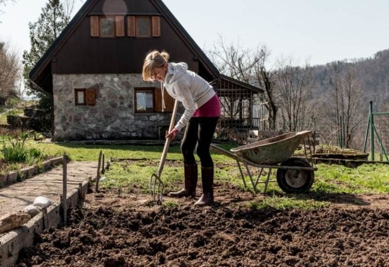10 Simple Ways To Improve Your Garden Soil Quality For FREE