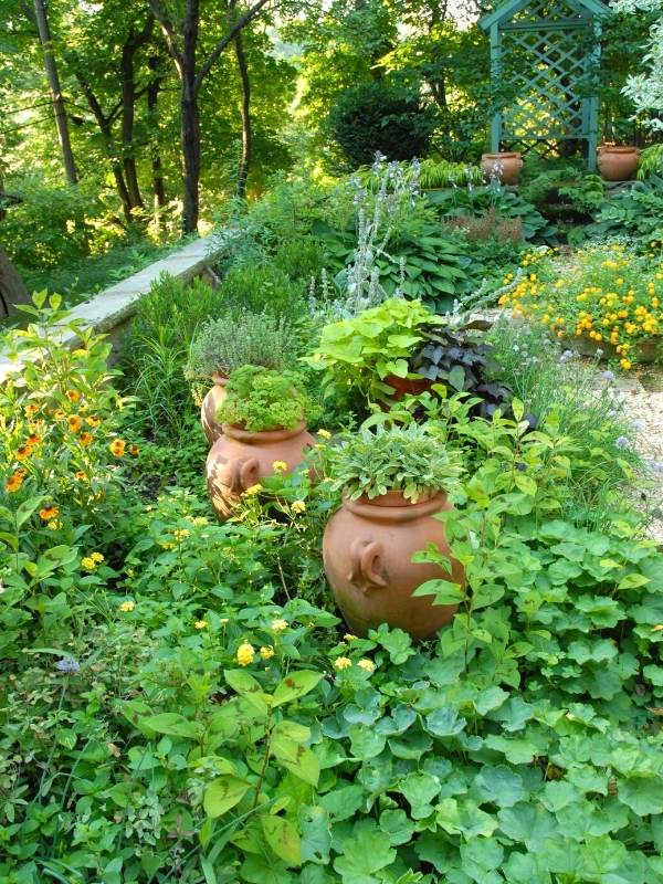 Benefits Of A Perennial Herb Garden