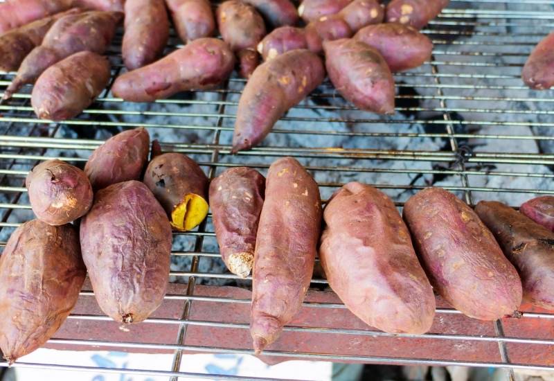 Curing Sweet Potatoes