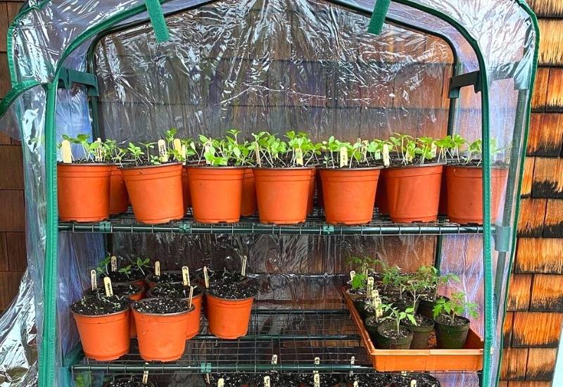 Method 2: Hardening off with equipment 