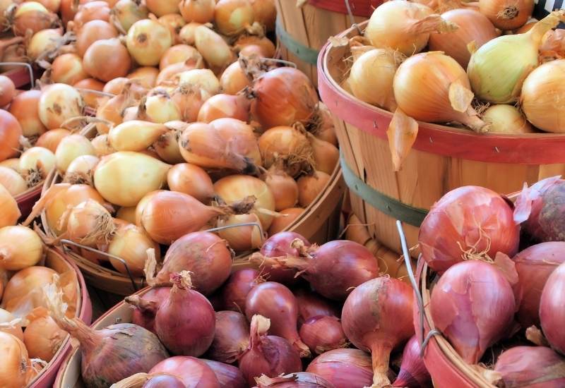 How And Where To Store Onions