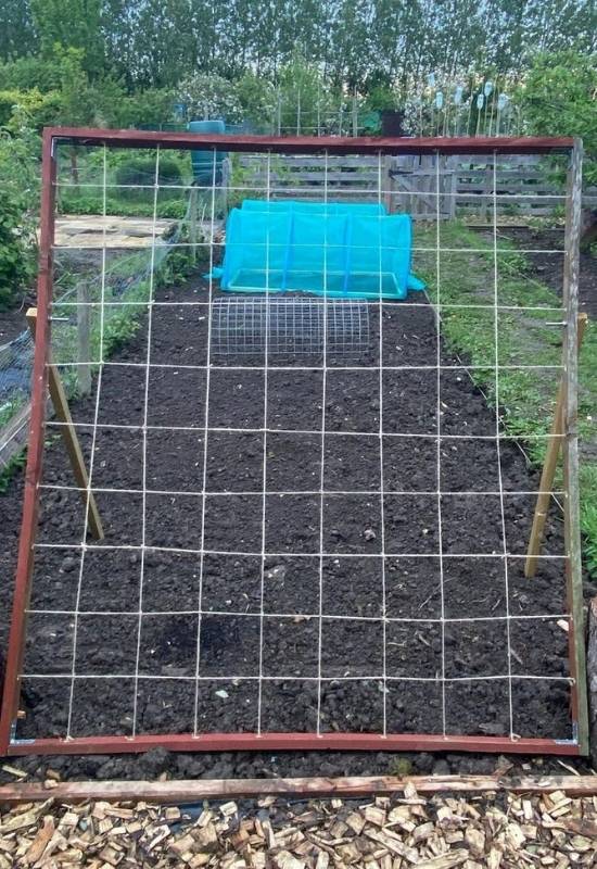 Stage 1: Install your trellis before planting your cucumbers. 