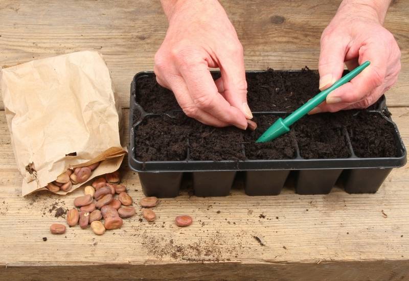 How to avoid planting at the wrong depth: 