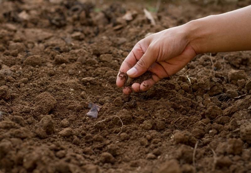 Soil Grows Over Time