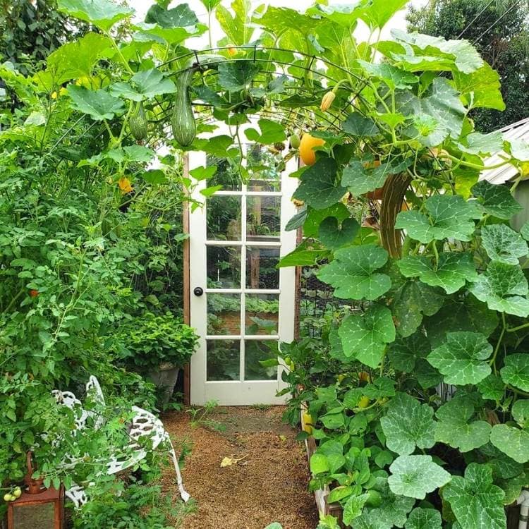 You Can Grow More Food In Less Space