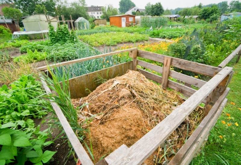 add Compost in the garden