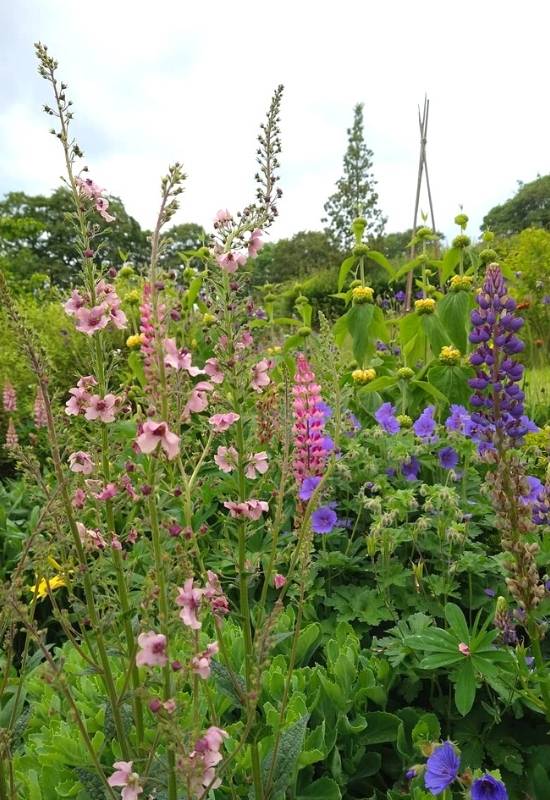 A hardy perennial is a plant that can withstand regular and prolonged periods of freezing temperatures. Some can manage ultra freezing temperatures, others a bit less. If you really live in a very cold area, the hardiness of the perennial is very important, and your choice is limited by it.   Use USDA zones to decide which perennials can grow in your area.