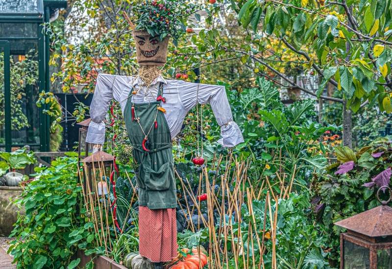 How To Stop Animals From Eating Your Peppers