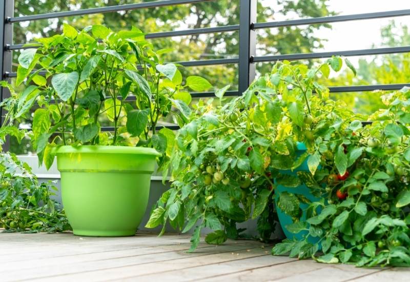 Provide Plenty Of Light