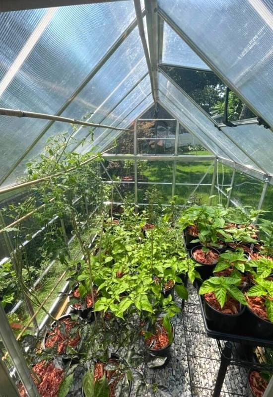 Put Them In A Greenhouse