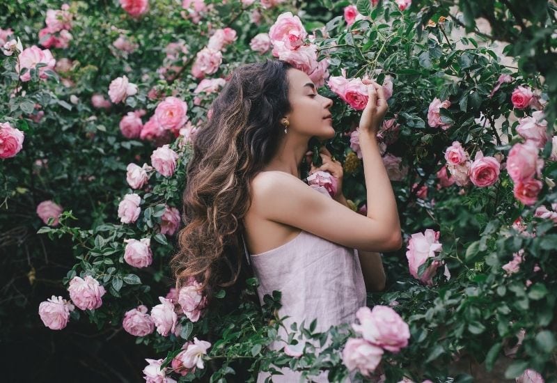 18 Of The Most Fragrant Roses To Fill Your Garden With Sweet Scents All Season Long
