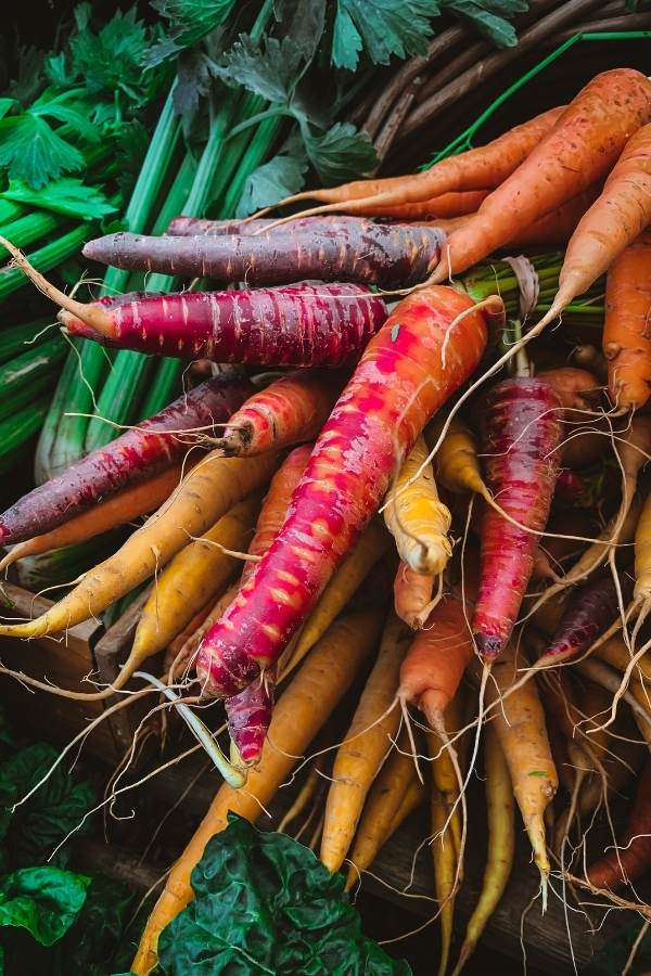 Best Carrot Varieties to Grow at Home