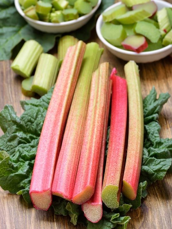 Pieces of rhubarb in the refrigerator