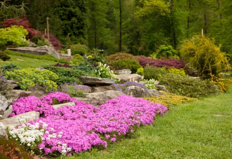 Rocks, Leaves and Flowers
