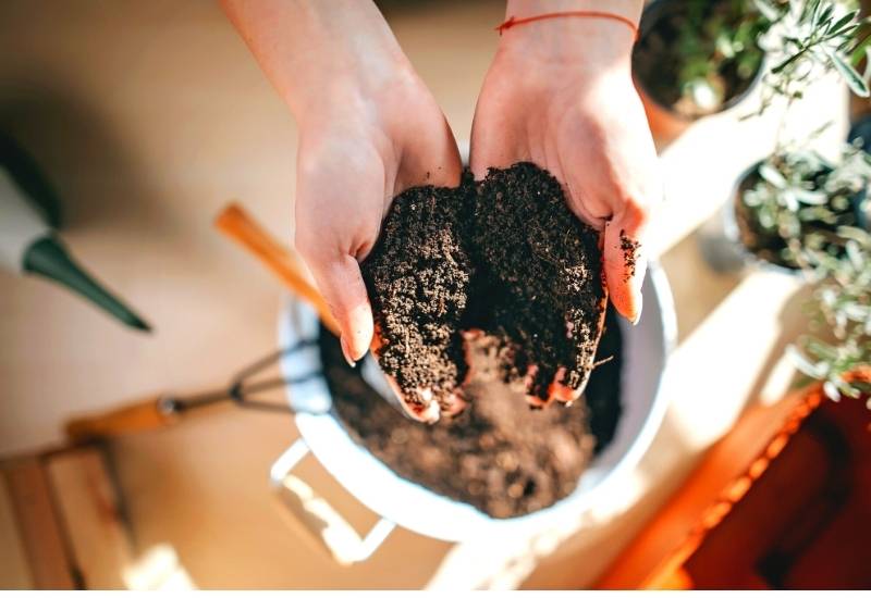 How to Use Coffee Grounds to Improve Compost