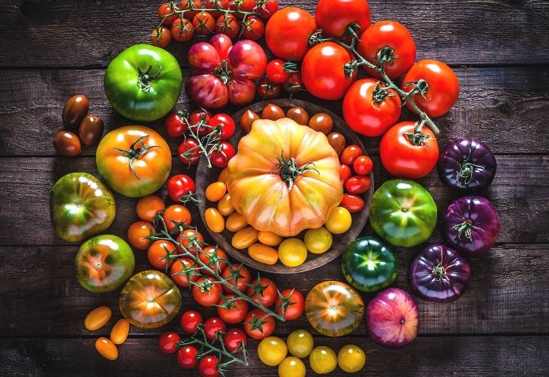 15 Tomato Varieties that Grow Quickly