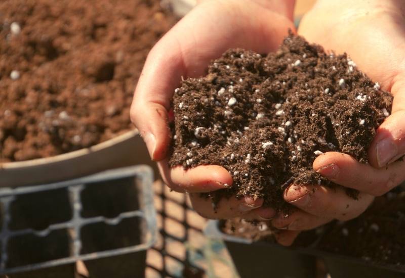 A Complete Guide To Having Perfect Soil For Your Tomatoes 11 Homemade Potting Soil