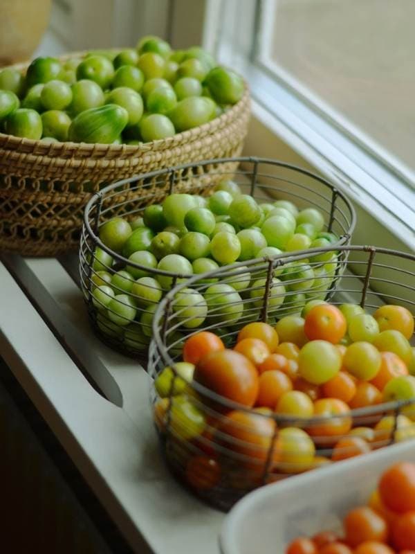 Ripen-Green-Tomatoes-On-The-Windowsill