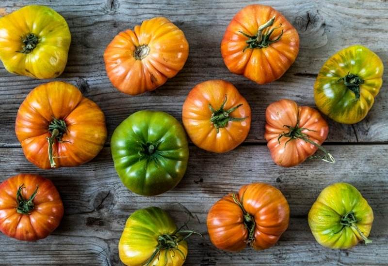 What Makes A Tomato Turn Red?