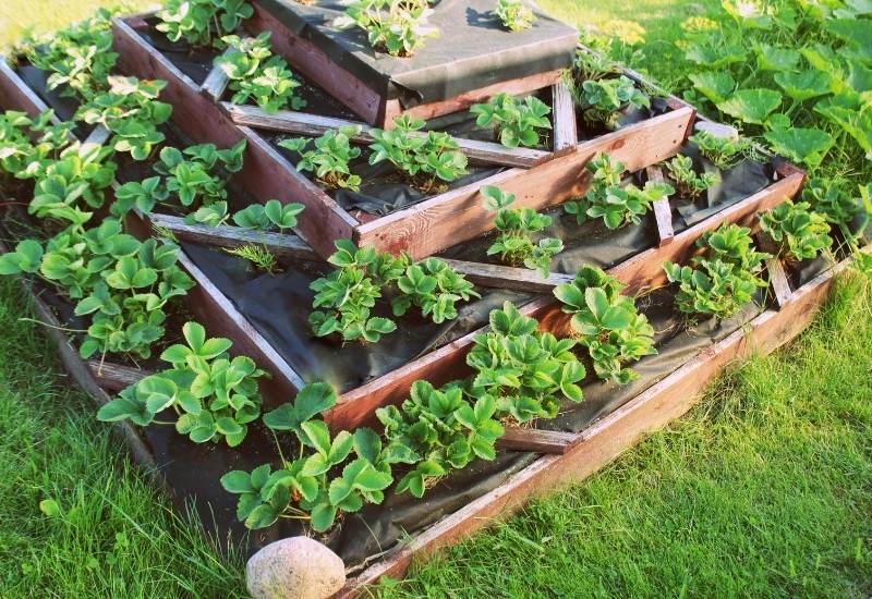 Benefits Of Lining A Raised Bed