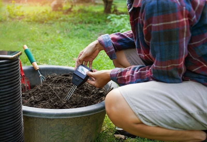 How To Test The Acidity Of Your Soil