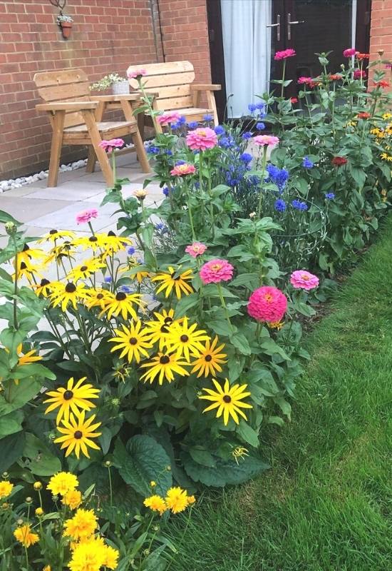 12 Stunning Coreopsis Varieties to Fill Your Garden with Color All Summer 3 Why You Should Grow Coreopsis in Your Garden