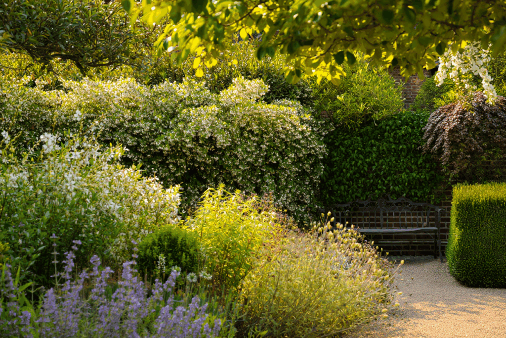 15 Fast-Growing Shrubs You Can Plant for Privacy Without Worrying They’ll Take Over 17 15 Fast-Growing Shrubs You Can Plant for Privacy Without Worrying They’ll Take Over 15