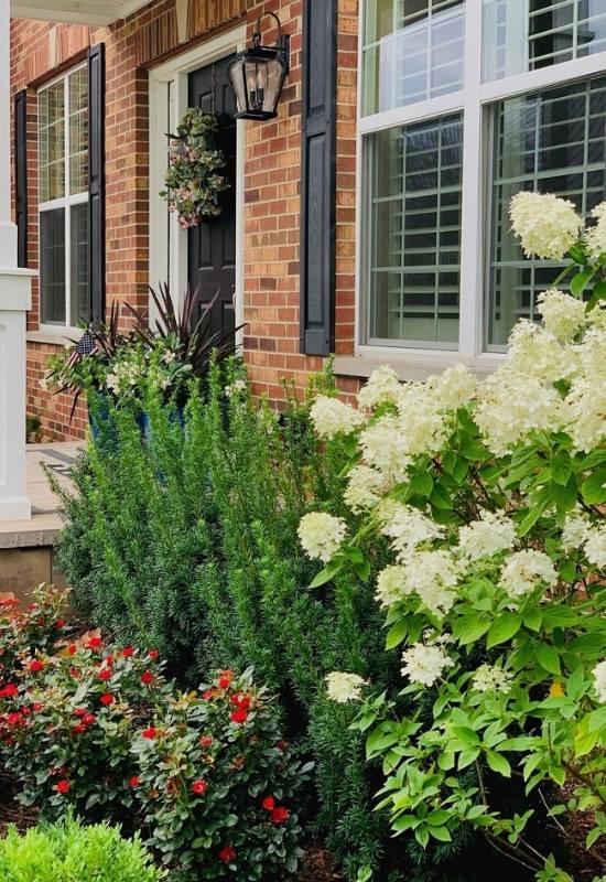 30 Shade Loving Shrubs To Brighten Up Those Dark Corner Of Your Garden 4 Shade Loving Shrubs (5)