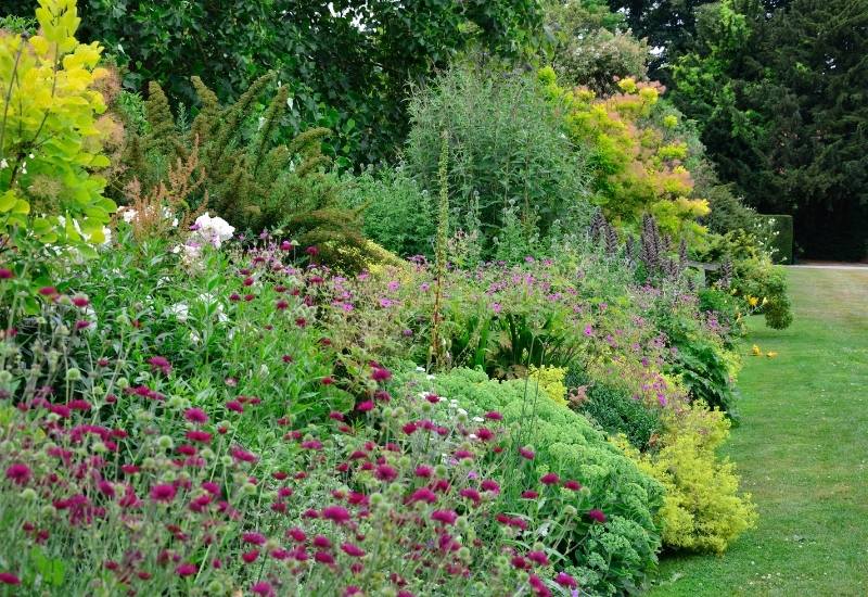 Plants for English Garden