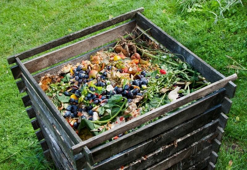 Compost – What is it?