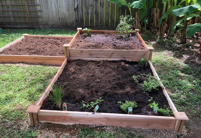 How Do I Build My Raised Bed?