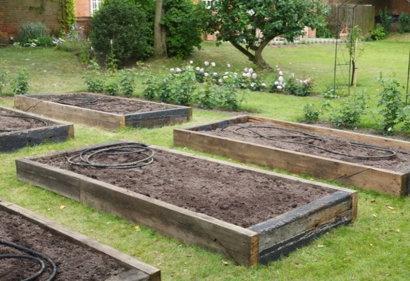 How to Build a Raised Bed