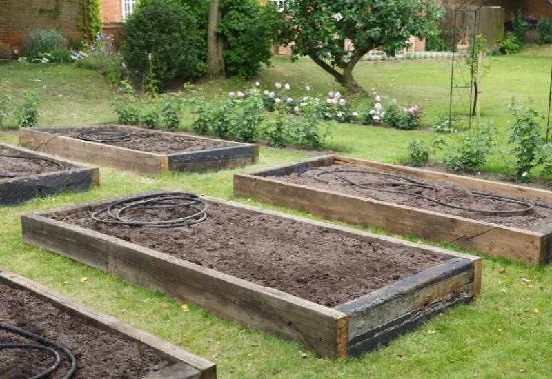 How to Grow Tomatoes in a Raised Garden Bed 3 How to Build a Raised Bed