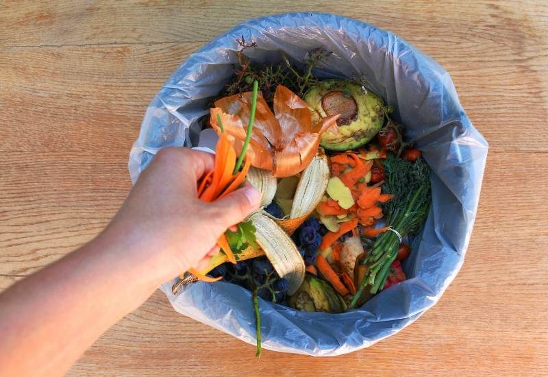 What NOT To Put In Compost